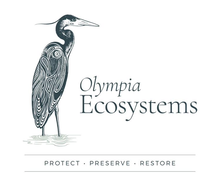 oly-ecosystems-home-banner