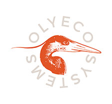 oly-ecosystems-oly-badge-salmon-roe