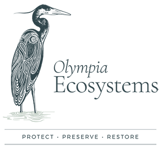 oly-ecosystems-home-banner-2024-sm