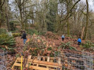 Three people planting trees in a forest environment