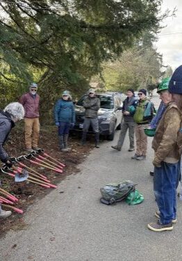 Volunteers standing in front of shovels before work party